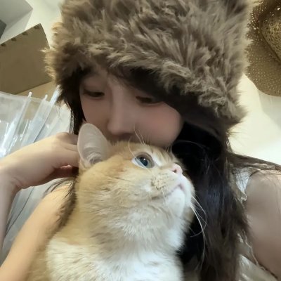 企鹅记忆幸福故事